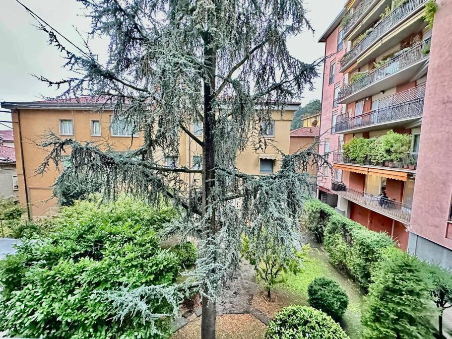 Luxury House Near The Funicular Apartment Bergamo Luaran gambar